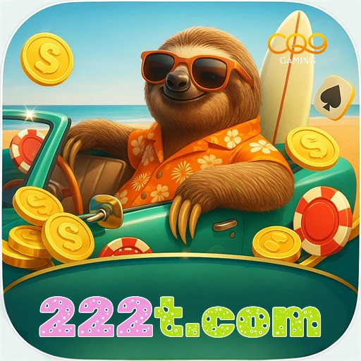 222t.com